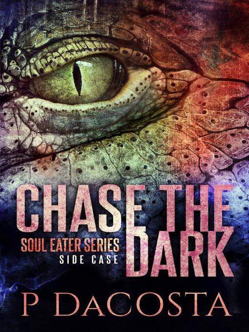 Cover image for Chase the Dark